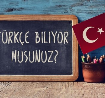 Turkish Businessperson Visa