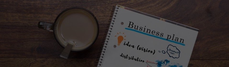 Sample Business Plan for Innovator and Start-up Visa